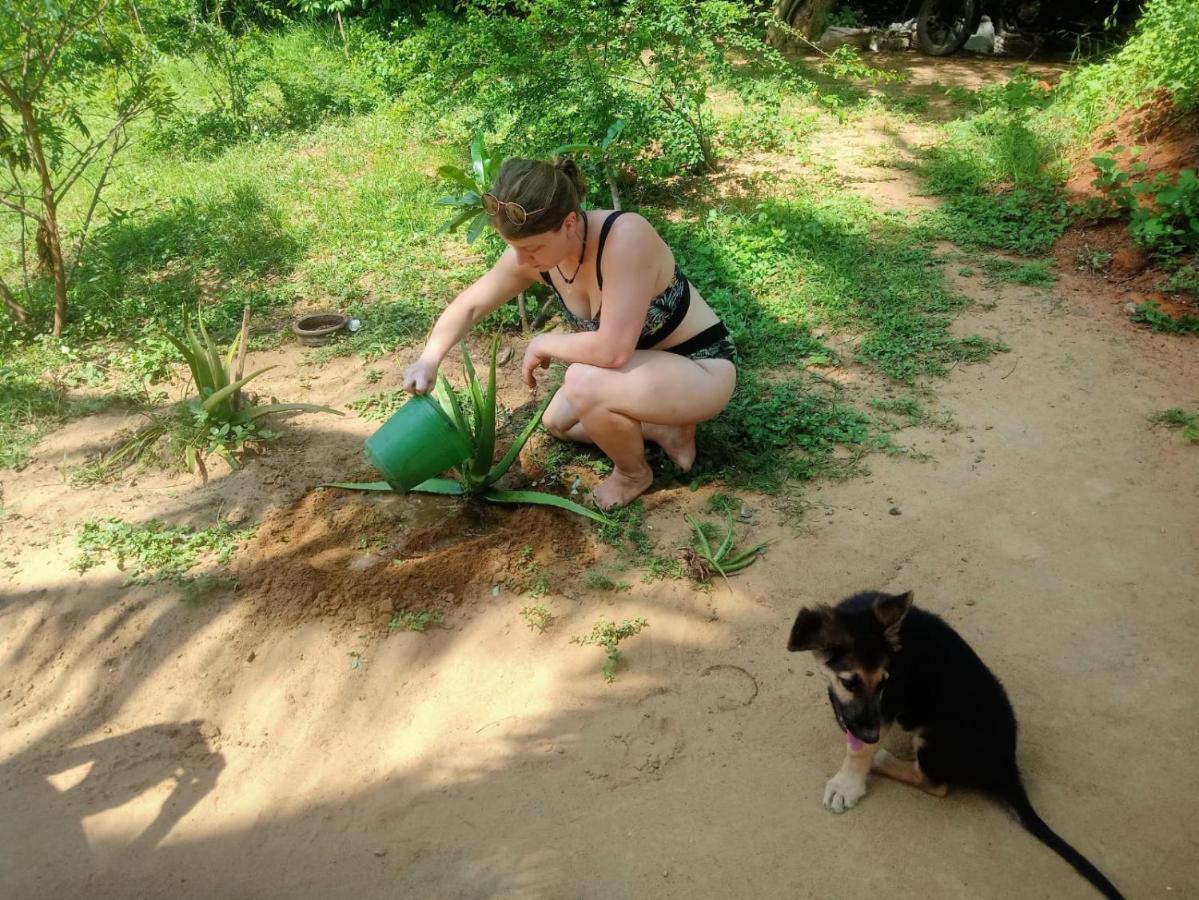 Beach Bungalow Yala Kirinda  Luaran gambar