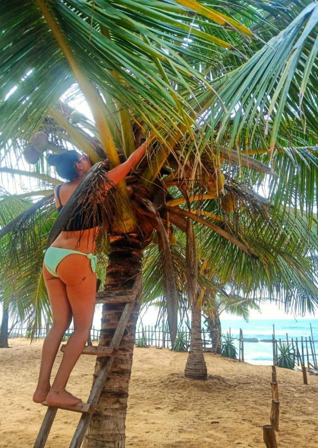 Beach Bungalow Yala Kirinda  Luaran gambar