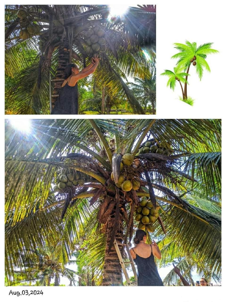 Beach Bungalow Yala Kirinda  Luaran gambar