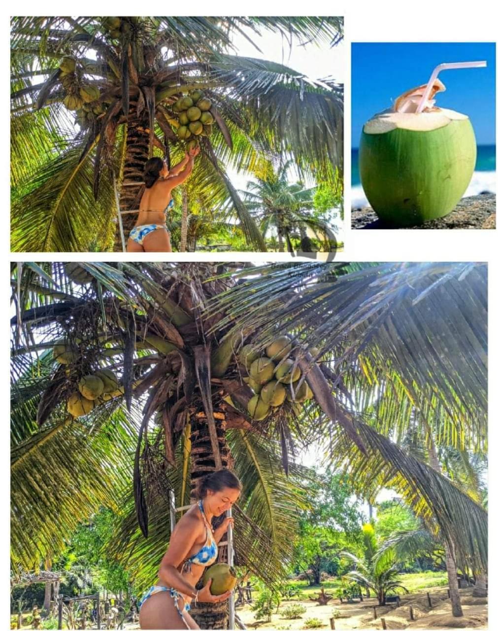 Beach Bungalow Yala Kirinda  Luaran gambar